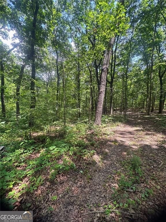 6394 Shore Drive Douglasville - 9