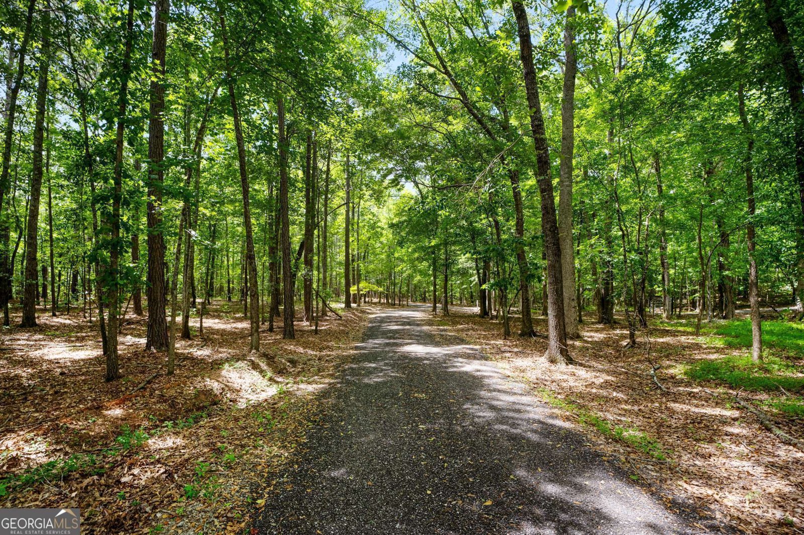 833 Hines Road Moreland - 87