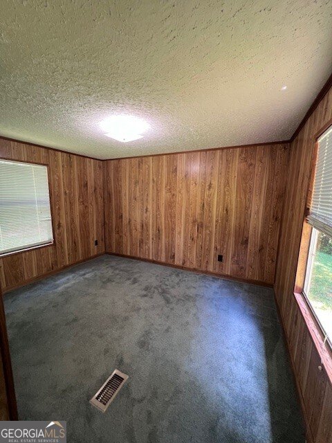 407 Stegall Place Dawsonville - 11