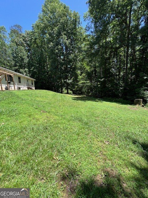 407 Stegall Place Dawsonville - 8