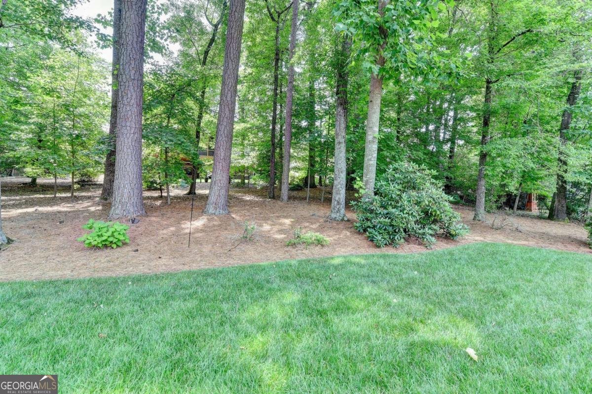 10195 Brier Mill Court Alpharetta - 52