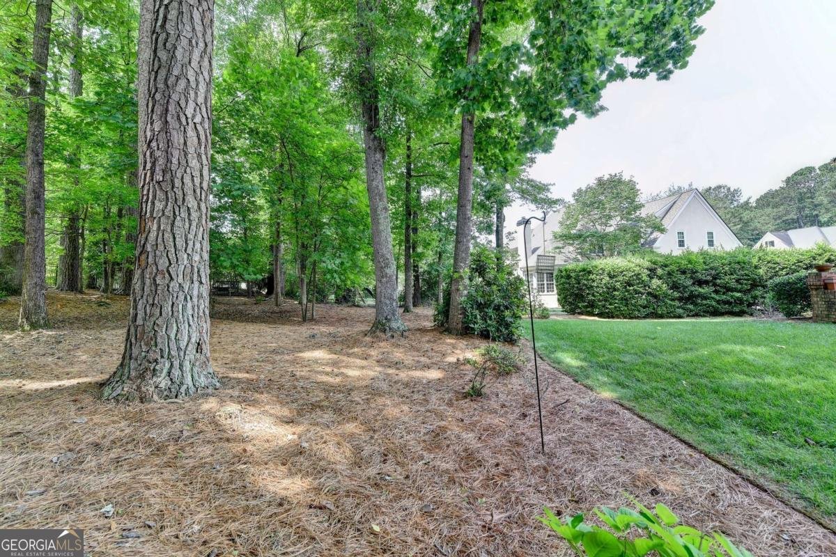 10195 Brier Mill Court Alpharetta - 55
