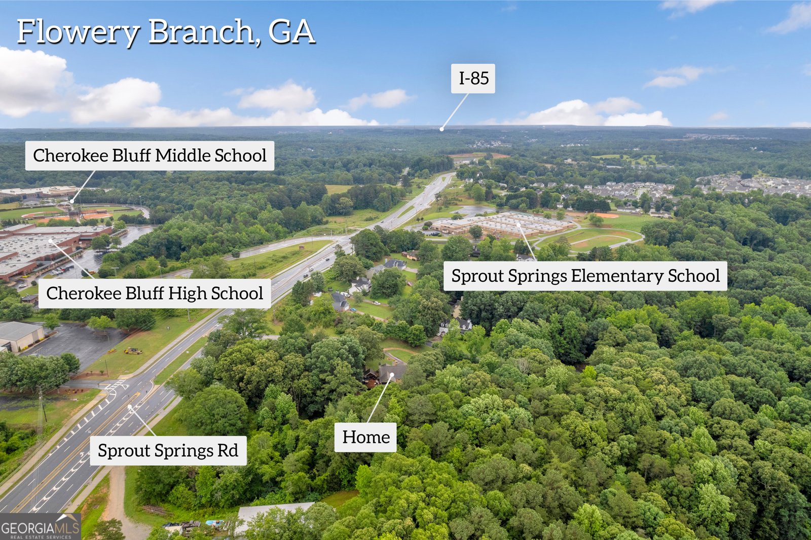264 Golden Eagle Parkway Braselton - 53