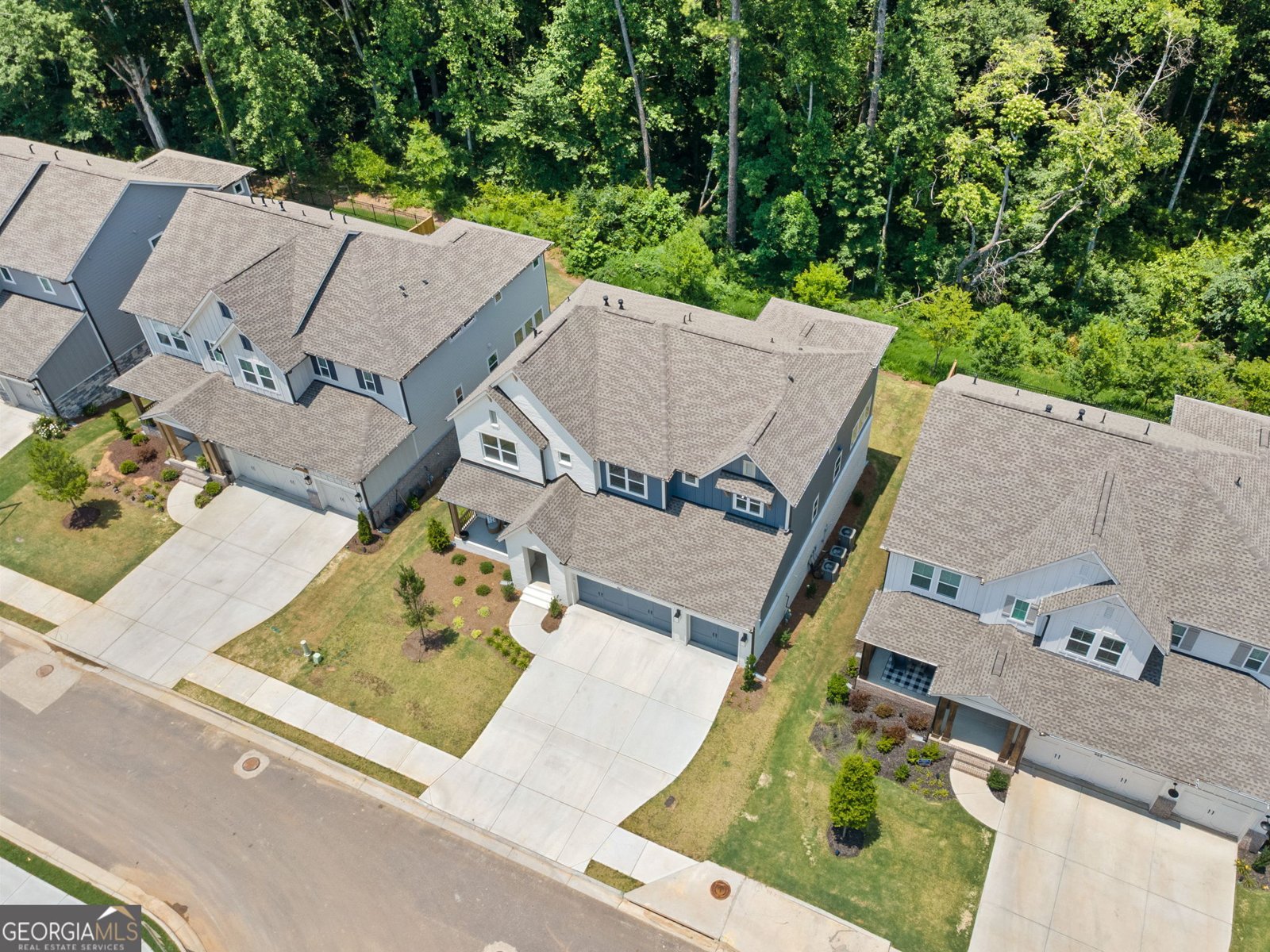 461 Maypop Lane Woodstock - 60
