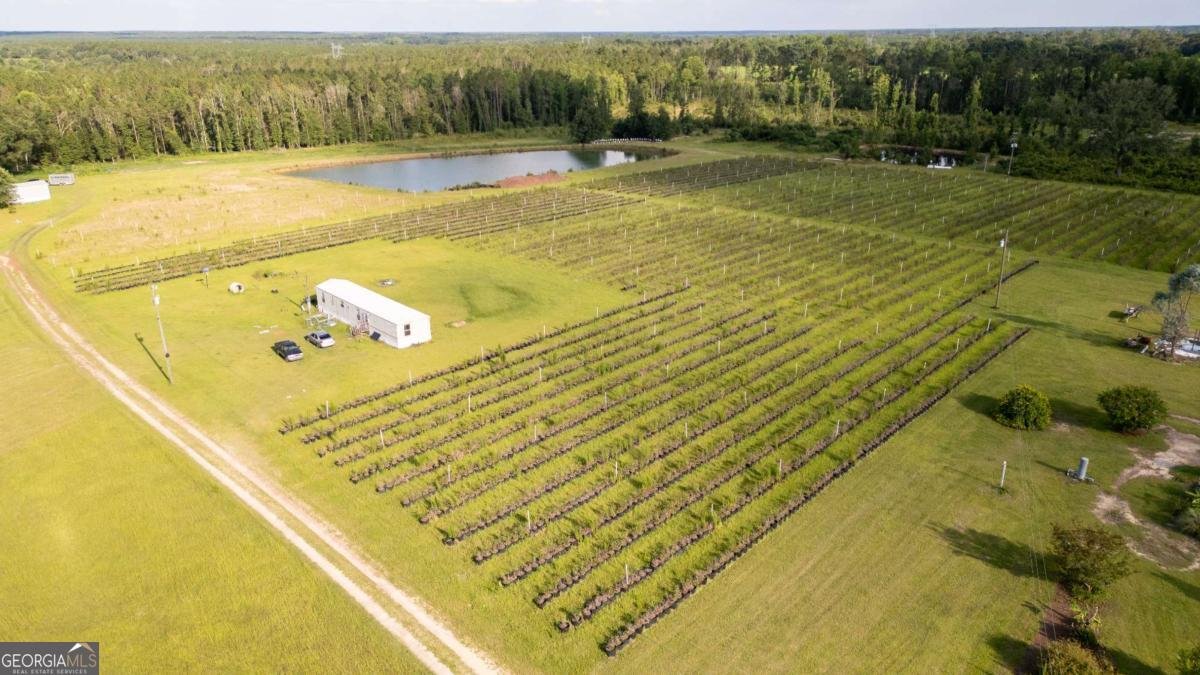1054 Penny Morris Road Baxley - 3