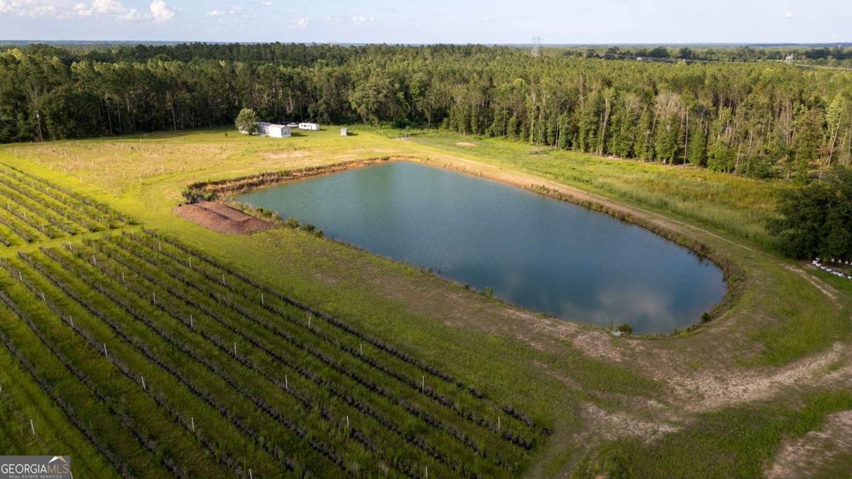 1054 Penny Morris Road Baxley - 31