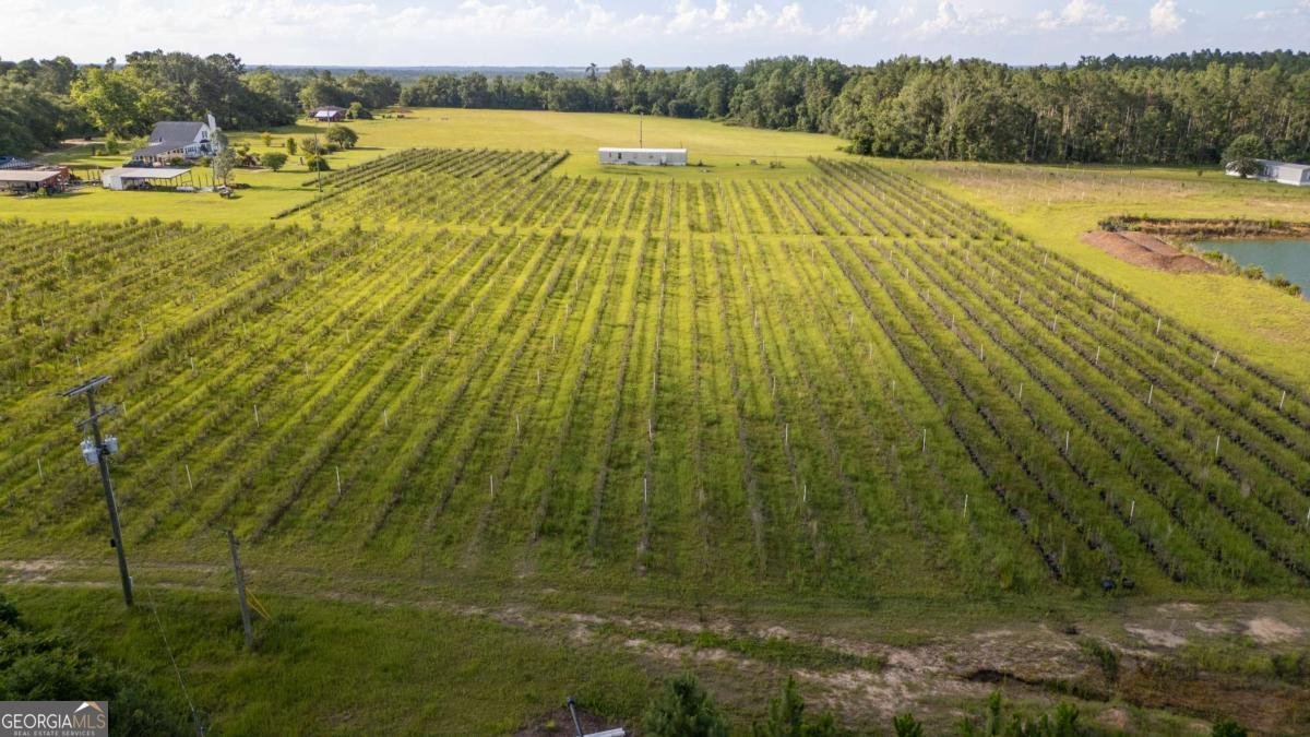 1054 Penny Morris Road Baxley - 32