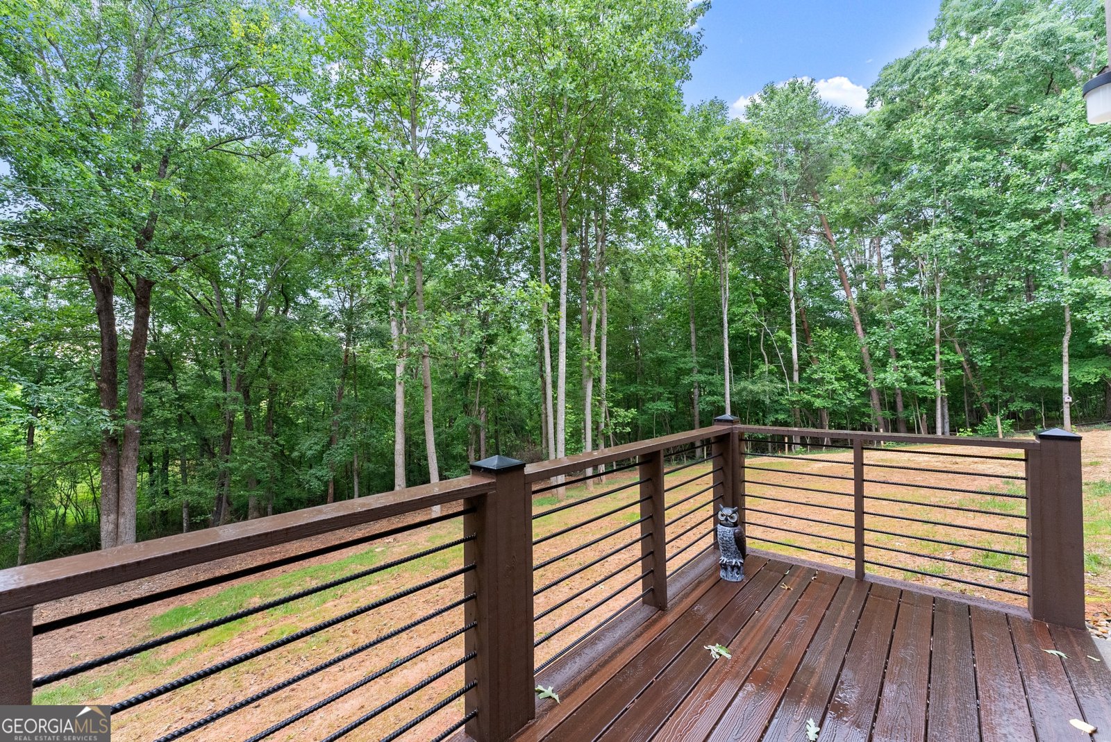 712 Meadow Run Court Clarkesville - 59