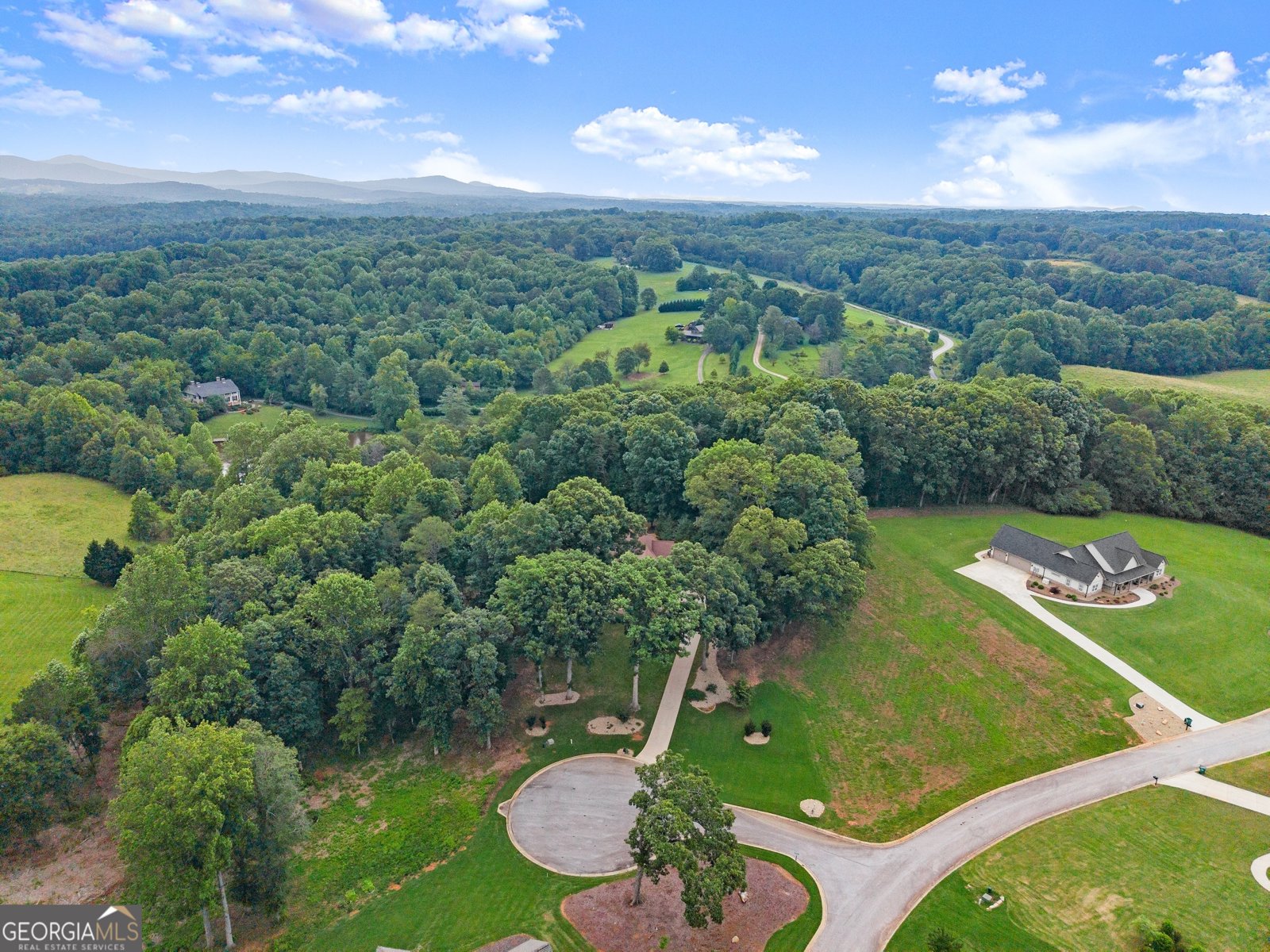 712 Meadow Run Court Clarkesville - 76