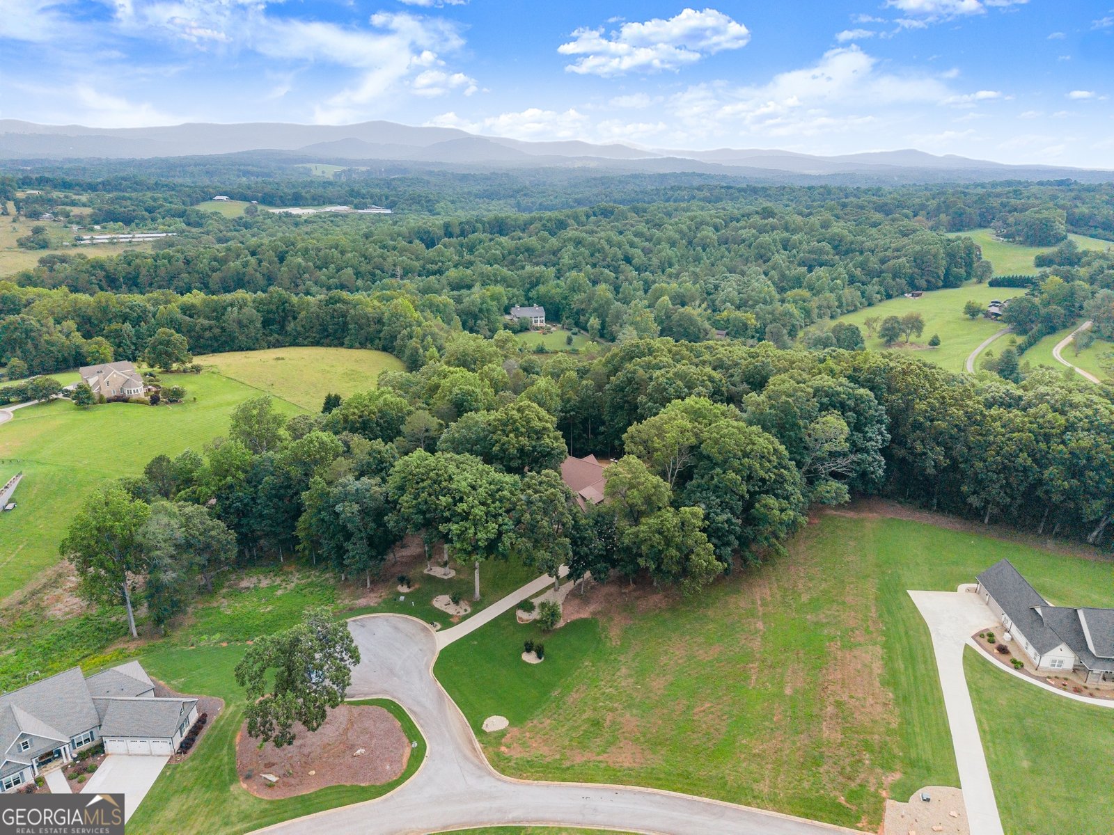 712 Meadow Run Court Clarkesville - 78