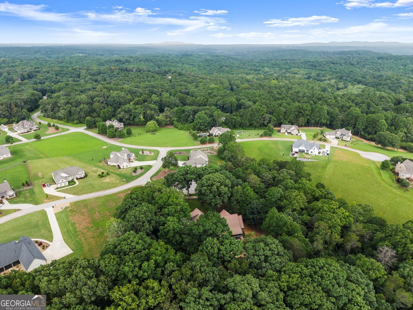 712 Meadow Run Court Clarkesville - 80