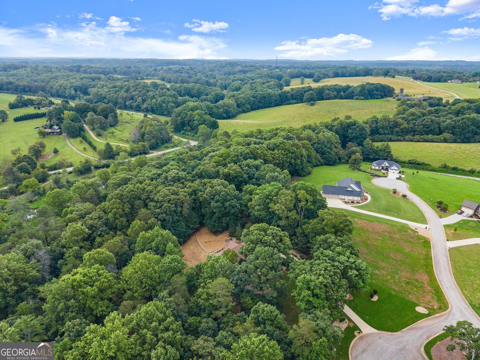 712 Meadow Run Court Clarkesville - 84