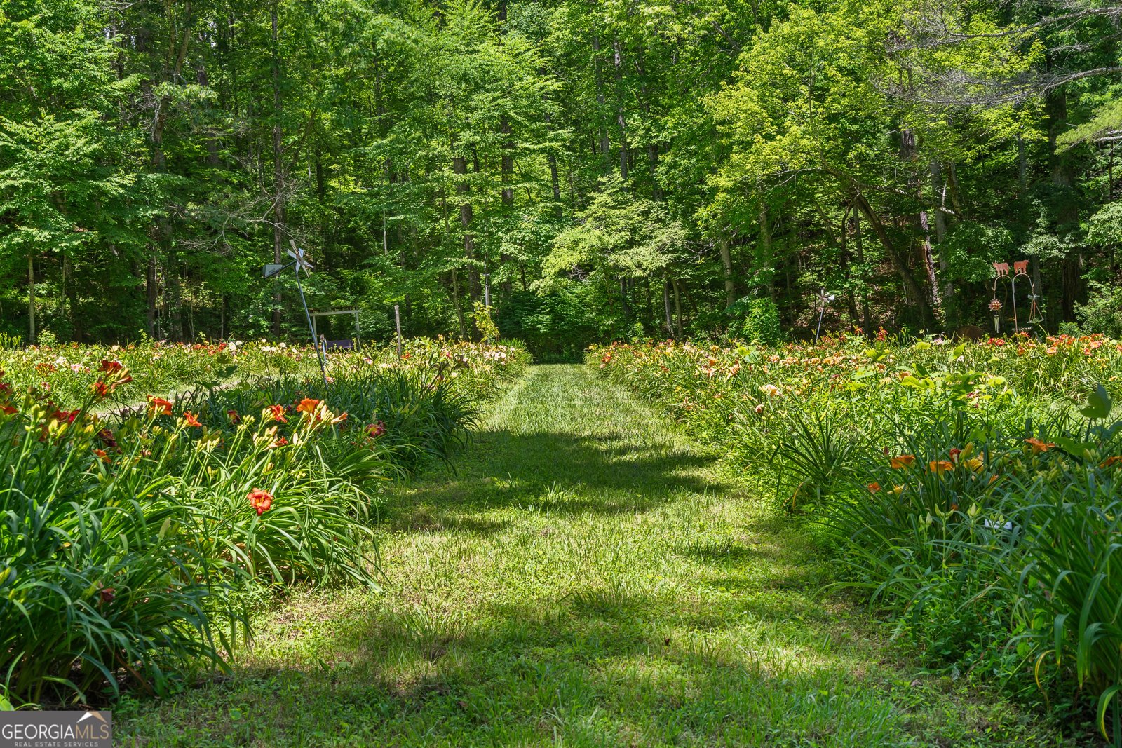 4528 Highway 76 Clayton - 58