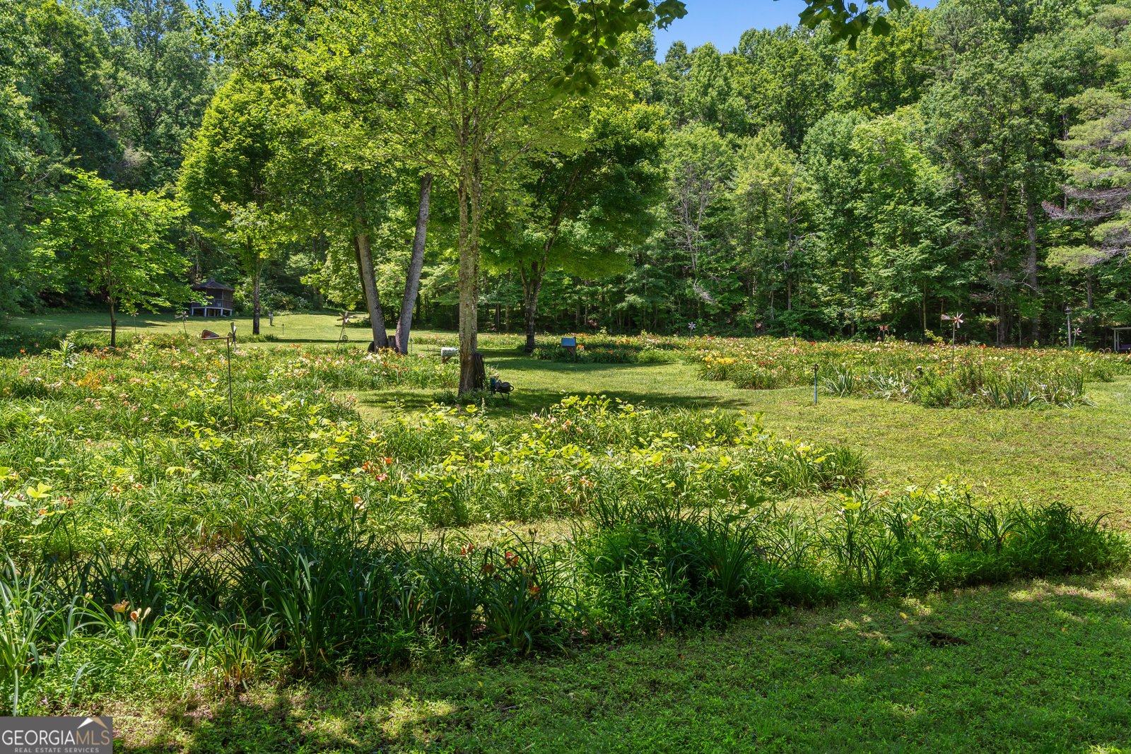 4528 Highway 76 Clayton - 59