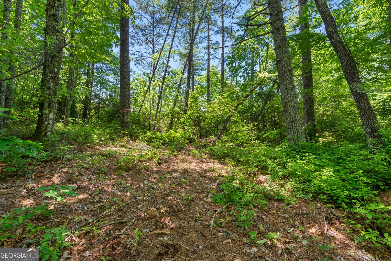 4528 Highway 76 Clayton - 66