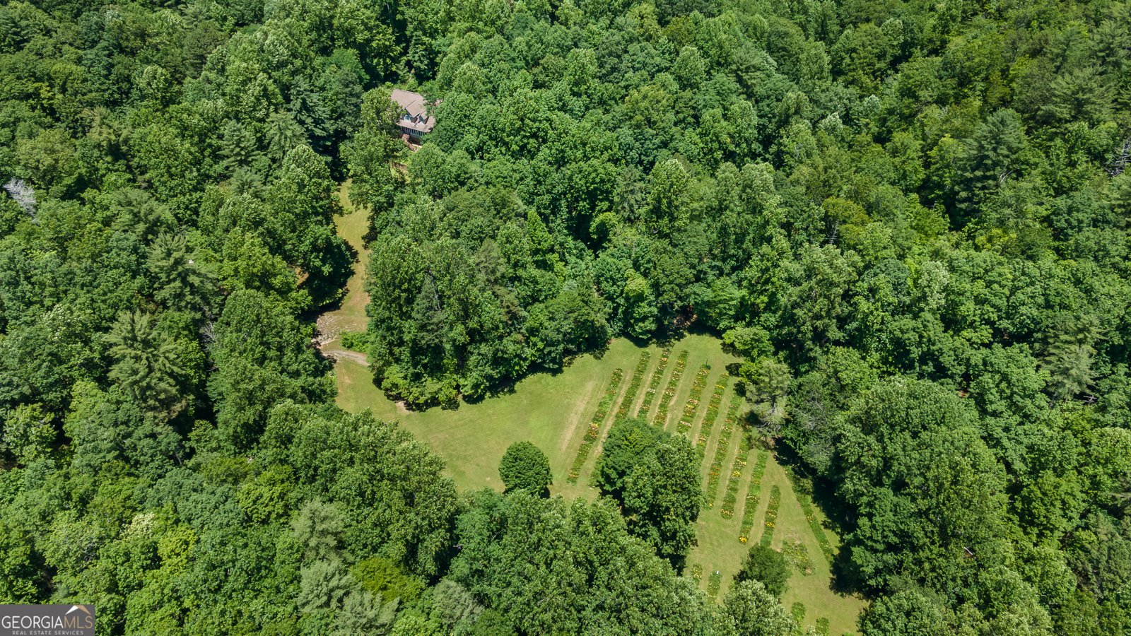 4528 Highway 76 Clayton - 8