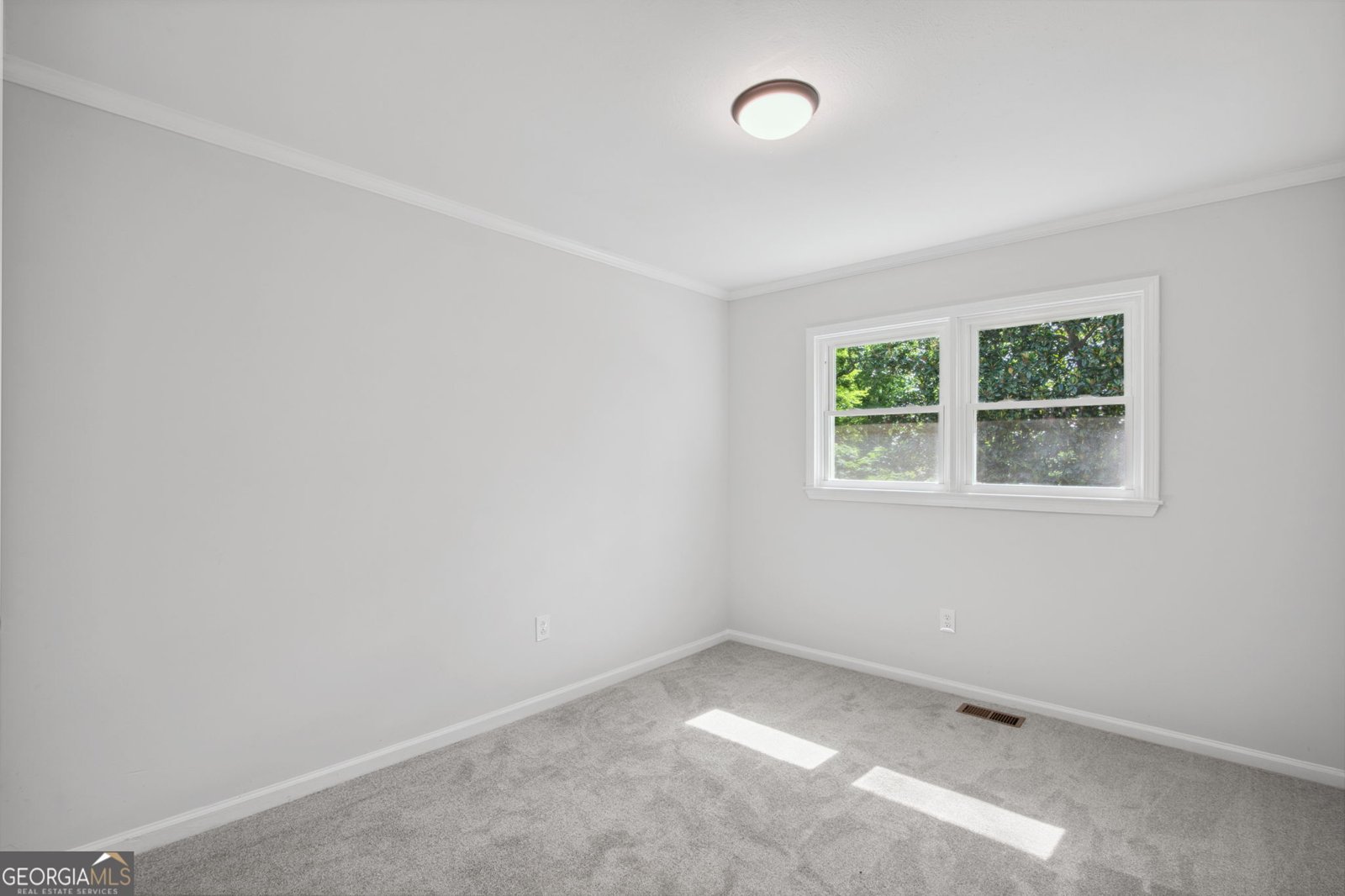 22460 Roosevelt Highway Greenville - 20