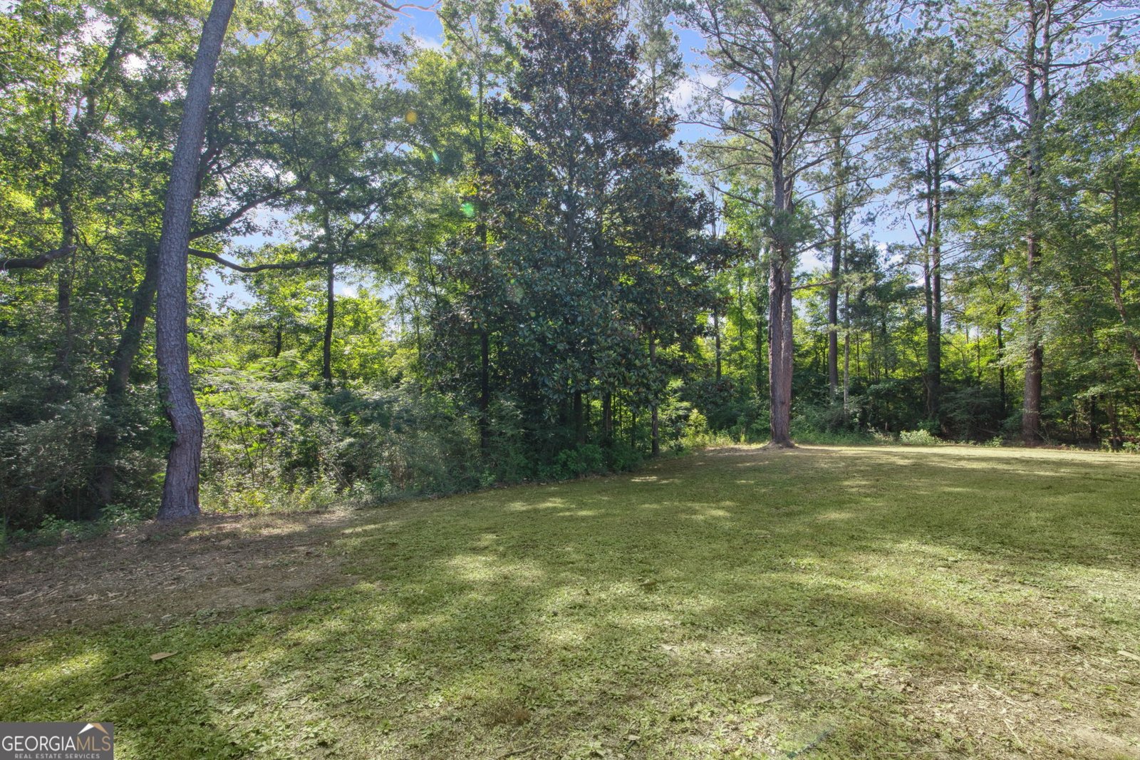 22460 Roosevelt Highway Greenville - 31