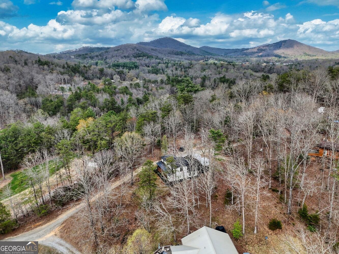 1774 Settlement Road Young Harris - 37