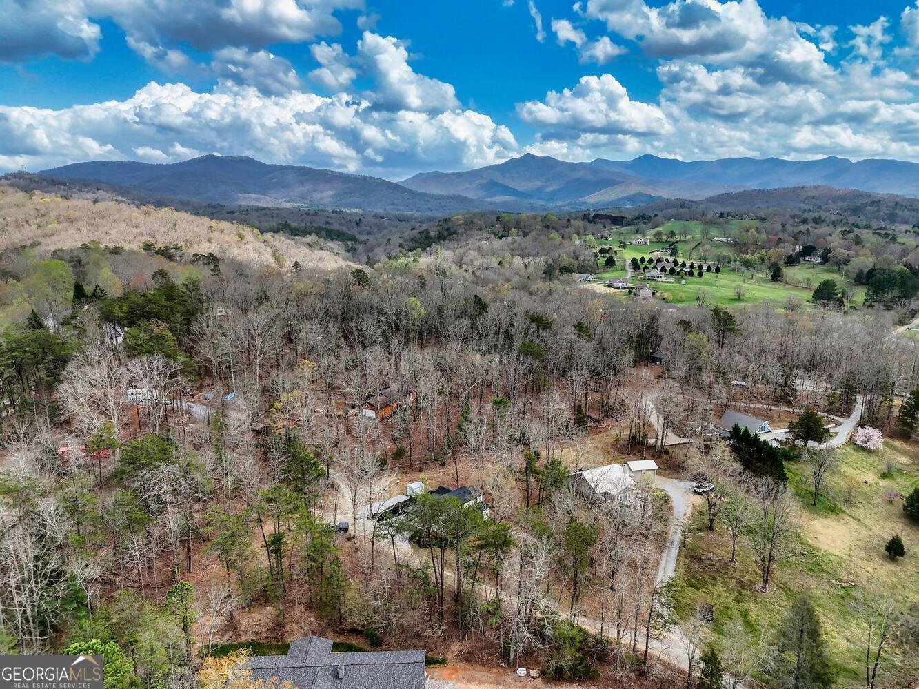 1774 Settlement Road Young Harris - 40