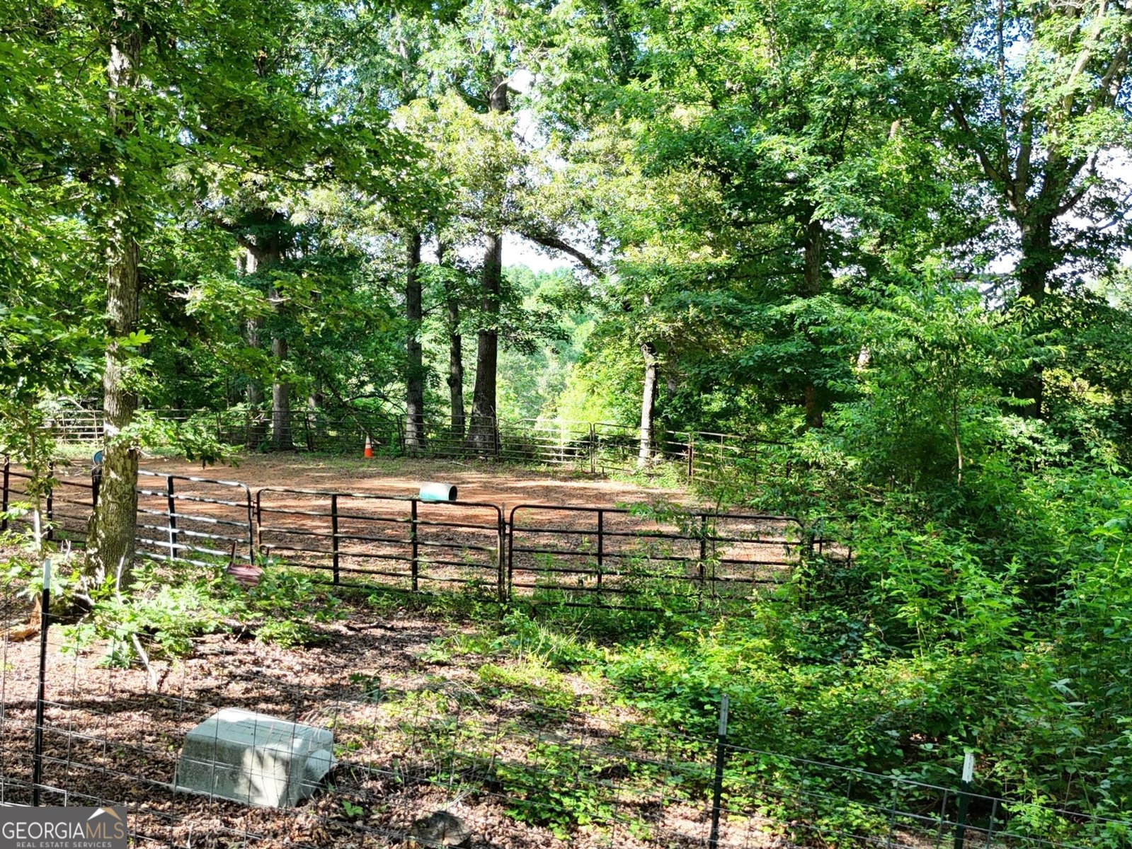 1780 Double Bridge Road Demorest - 61