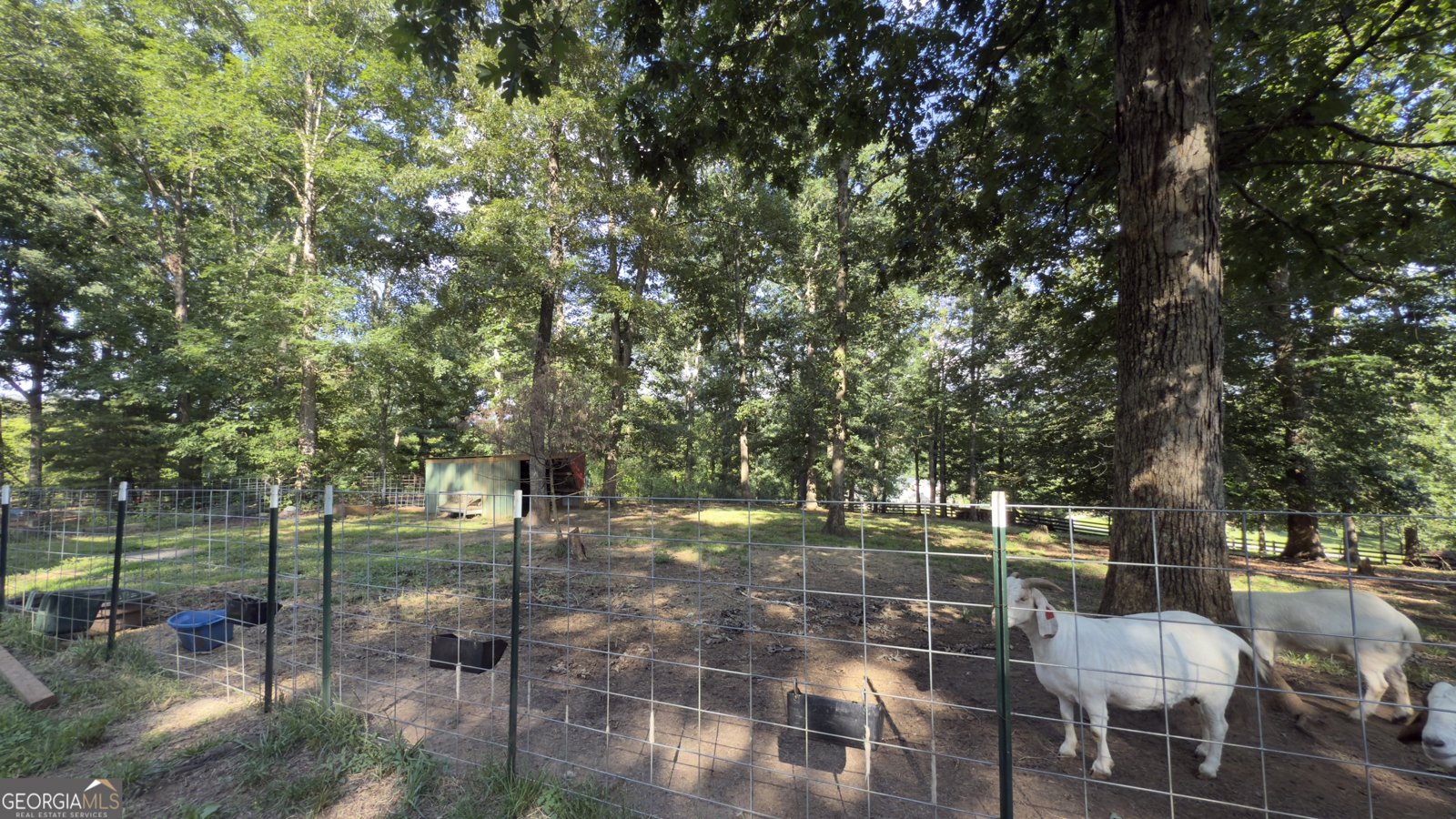 1780 Double Bridge Road Demorest - 66
