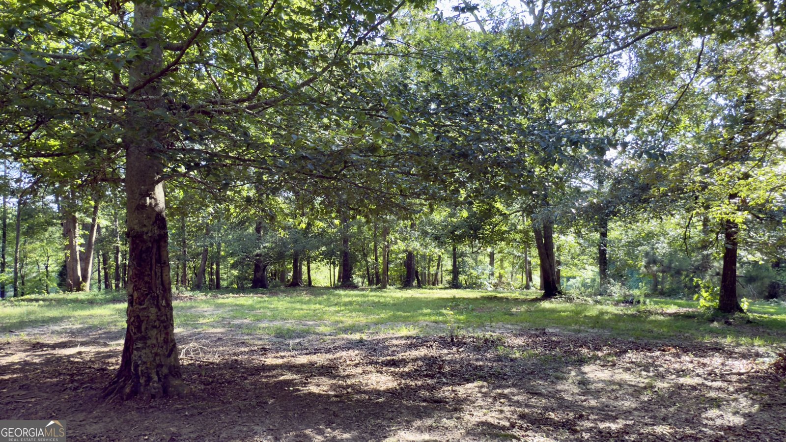 1780 Double Bridge Road Demorest - 77