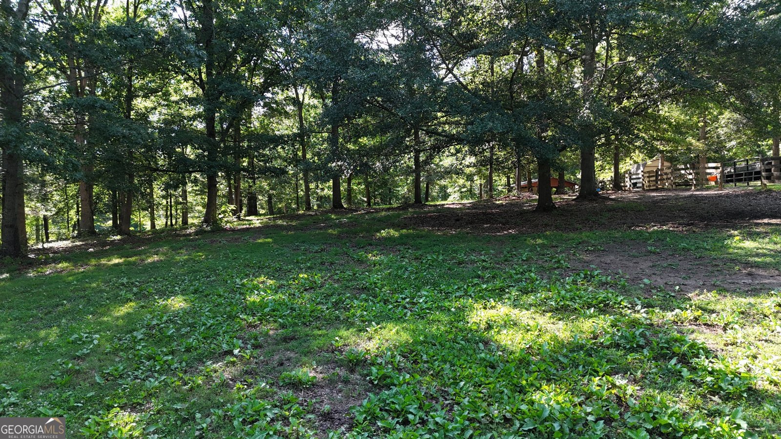 1780 Double Bridge Road Demorest - 81
