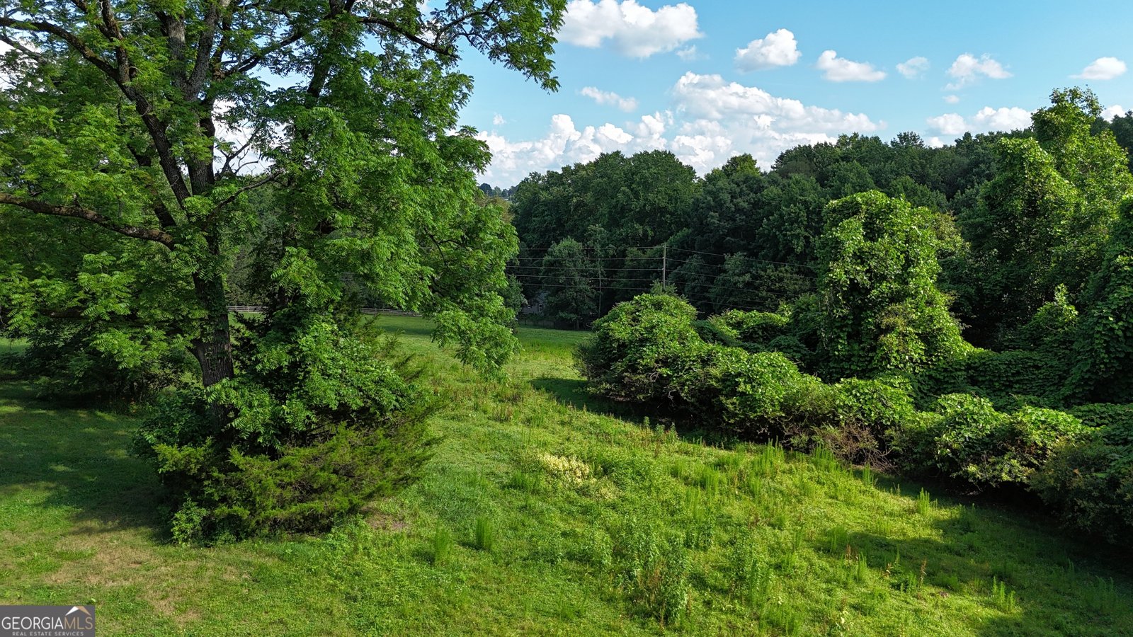 1780 Double Bridge Road Demorest - 82