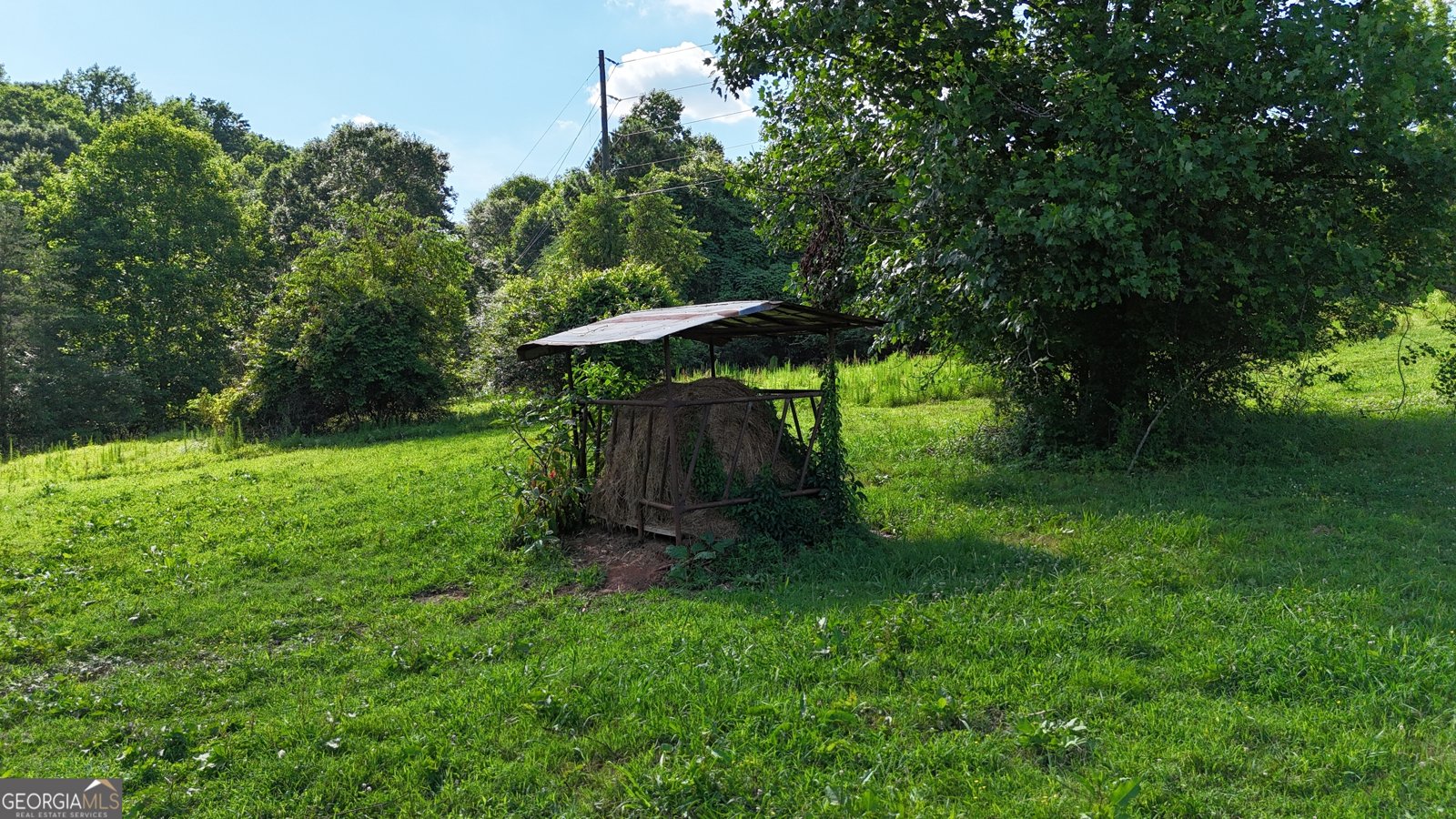 1780 Double Bridge Road Demorest - 85