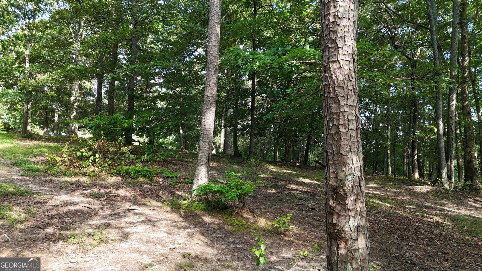 1780 Double Bridge Road Demorest - 89