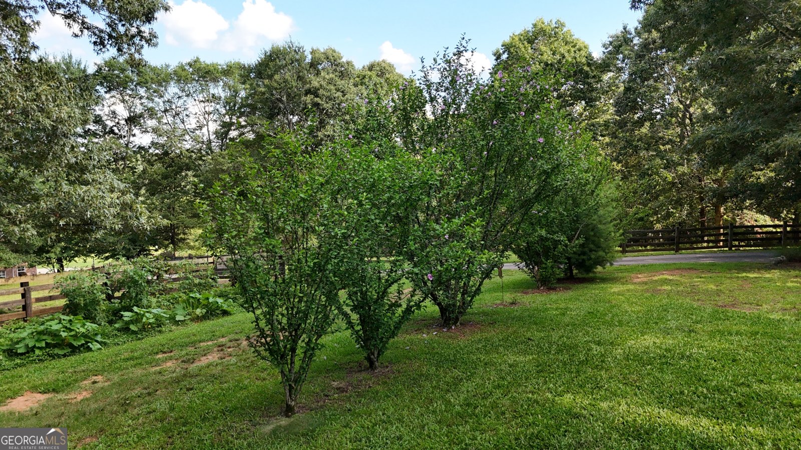 1780 Double Bridge Road Demorest - 92