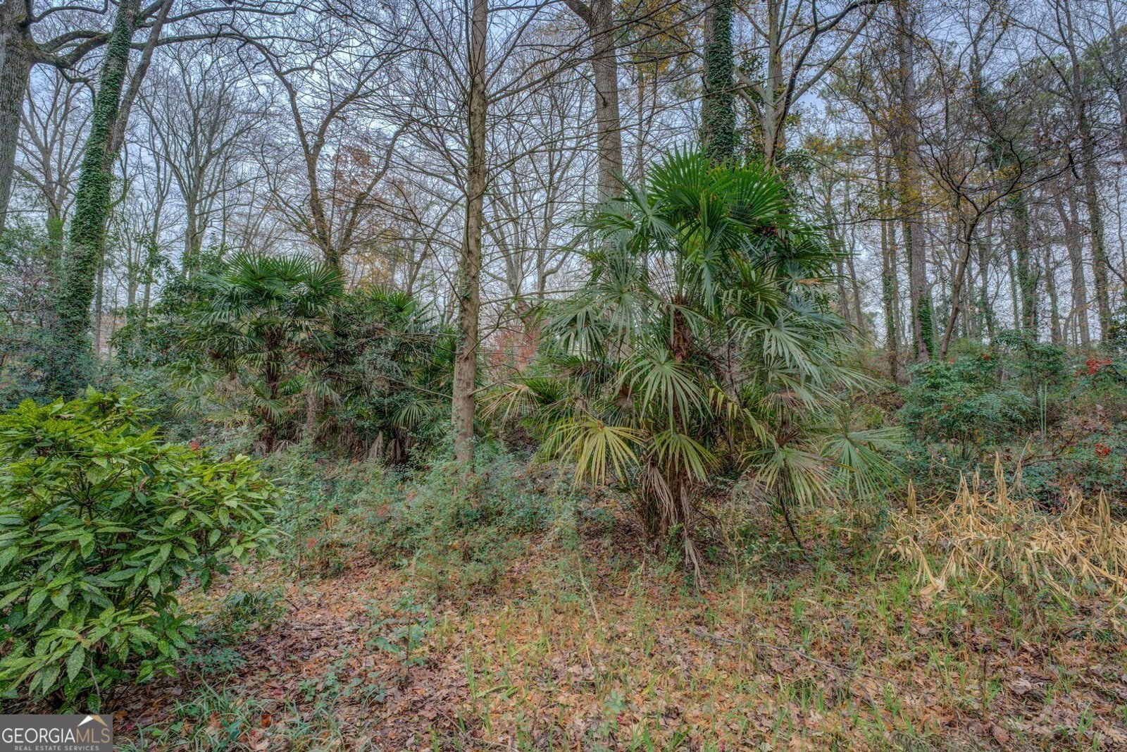 1216 Valley Drive Conyers - 40