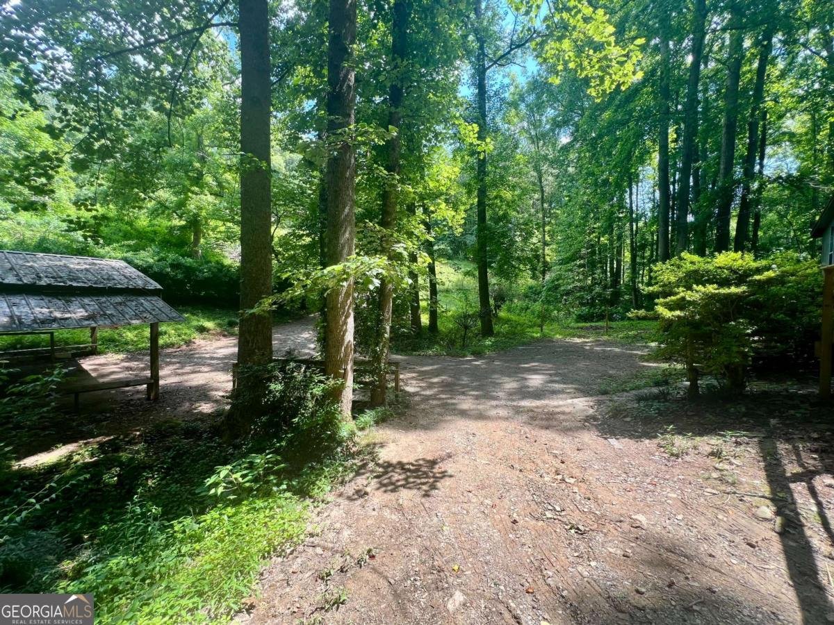 345 345 Banner Circle Ellijay - 5