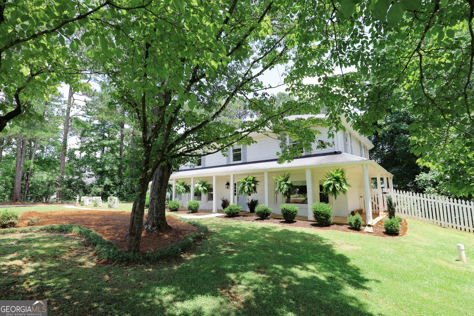 8 Crepe Myrtle Newnan - 4