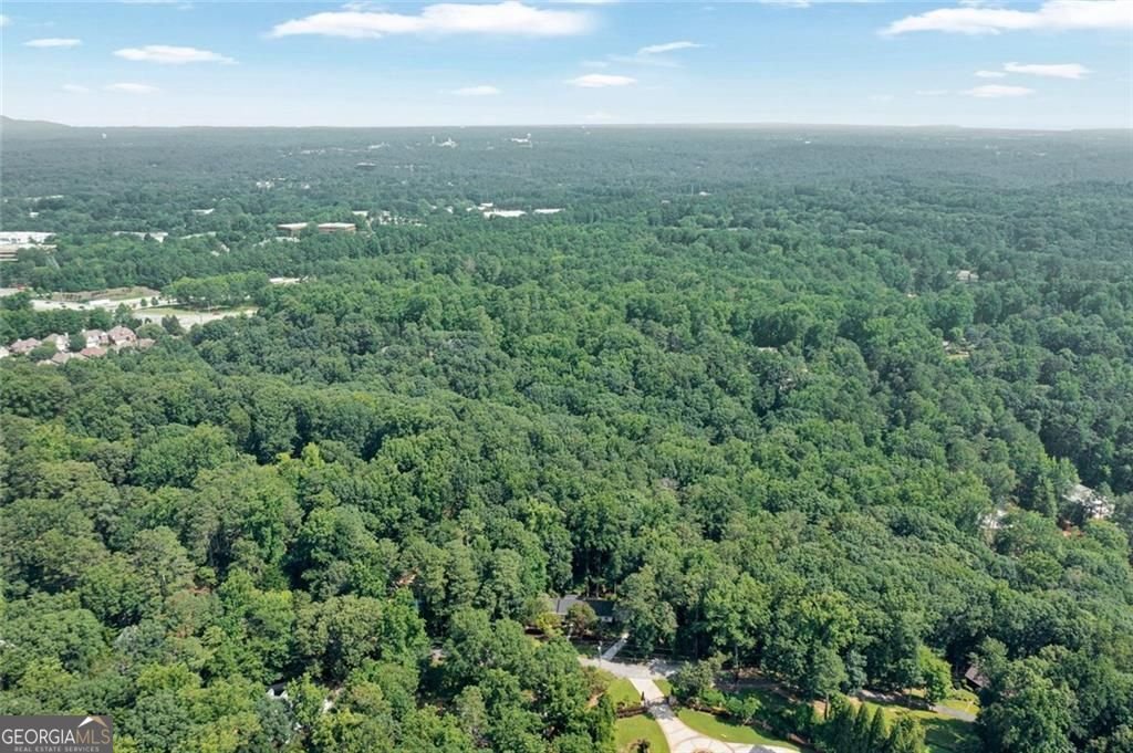 1590 Sunnybrook Farm Road Atlanta - 31