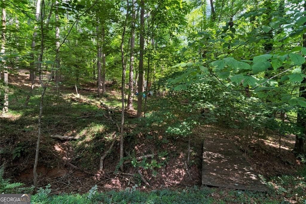 1590 Sunnybrook Farm Road Atlanta - 60