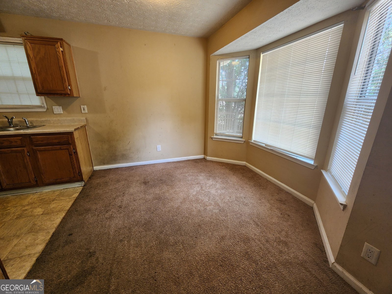 535 Village Circle Stockbridge - 3