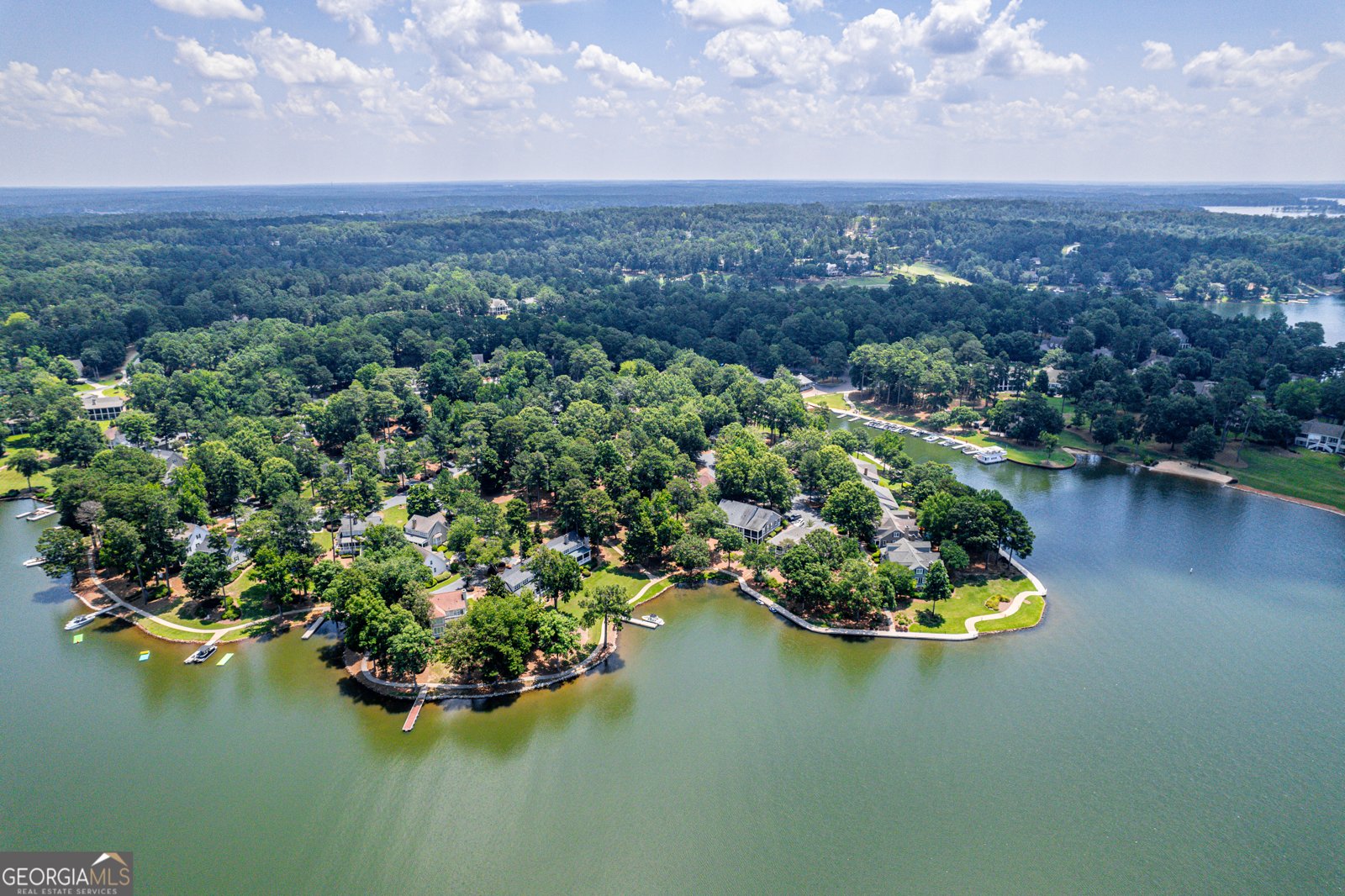 1201 Marina Cove Lane Greensboro - 4