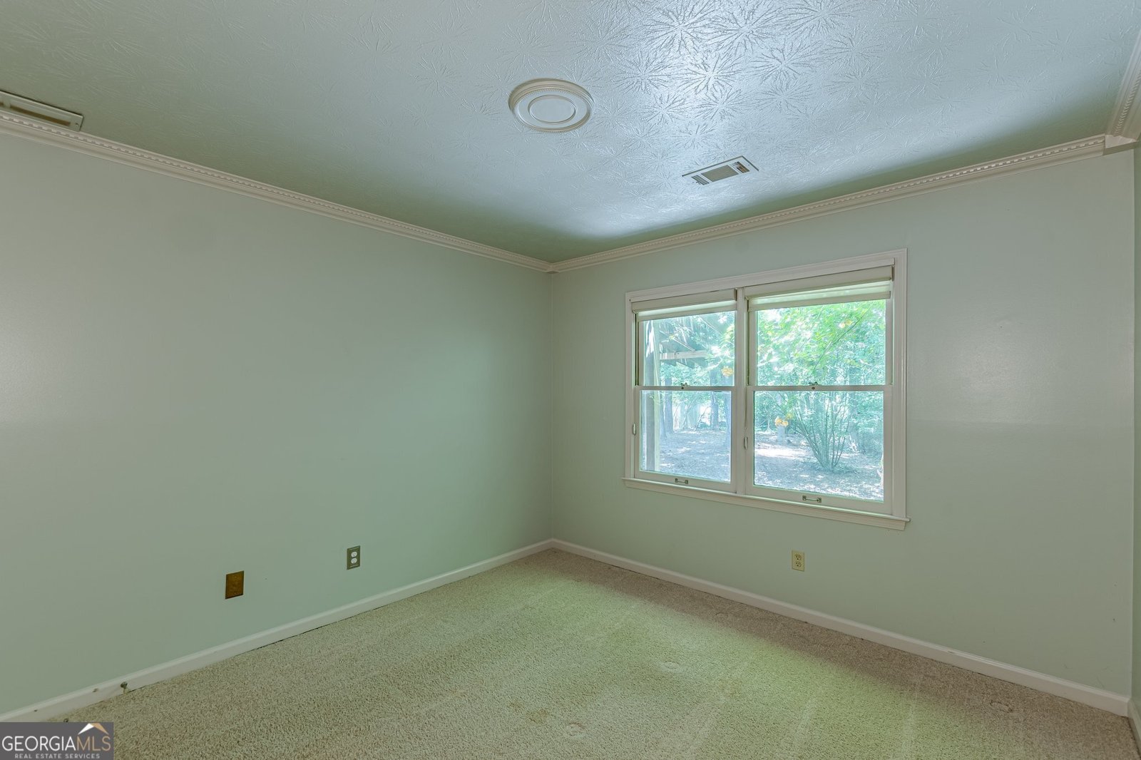 800 Greenwood Trail Conyers - 22