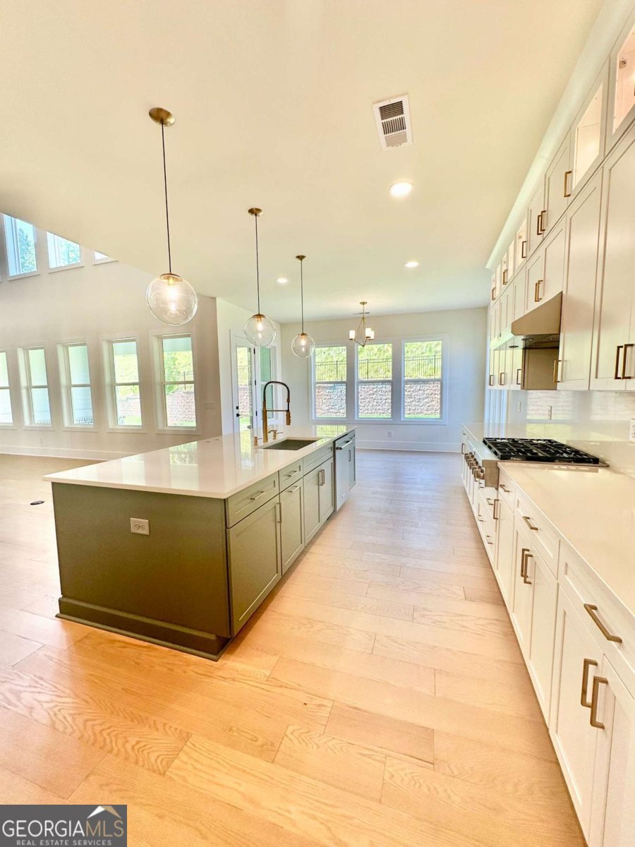 2455 Bleckley Pl Cumming - 11