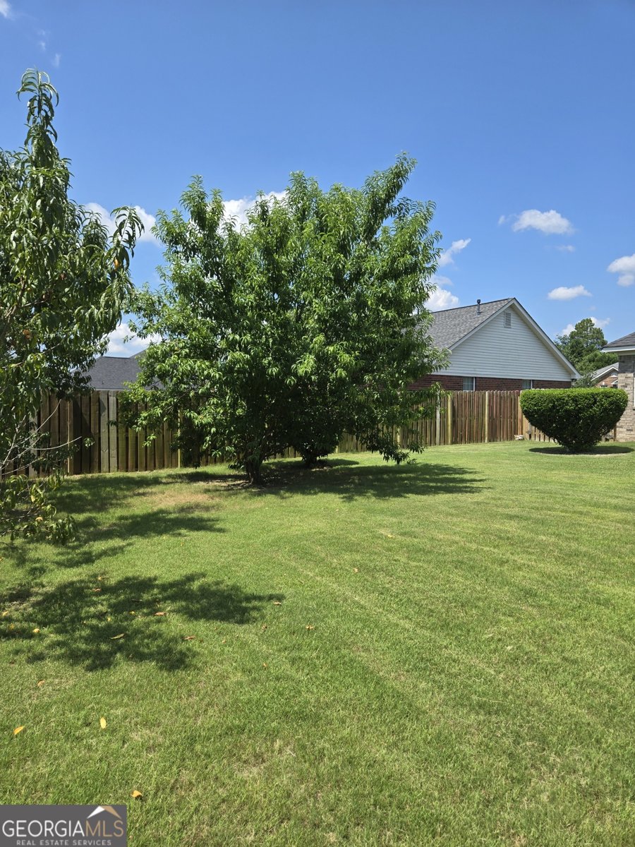 3388 Thames Place Hephzibah - 19