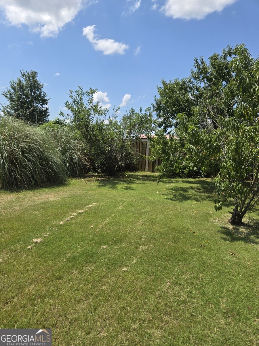 3388 Thames Place Hephzibah - 20
