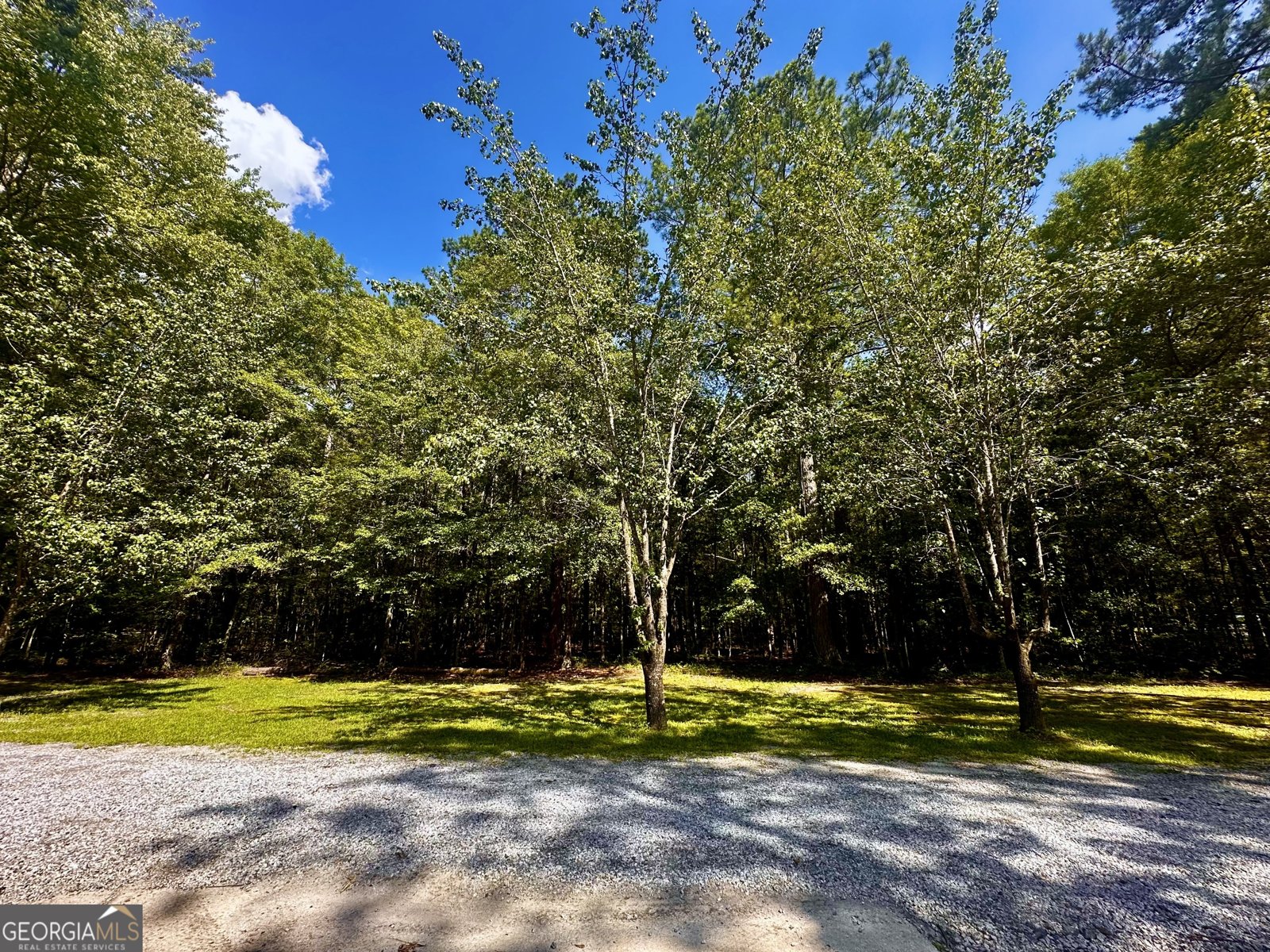 245 Clearwater Rd Sharpsburg - 8