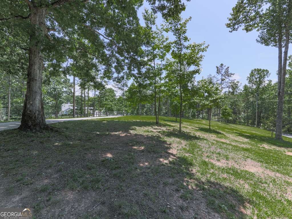 430 430 Cajun Drive Ellijay - 58