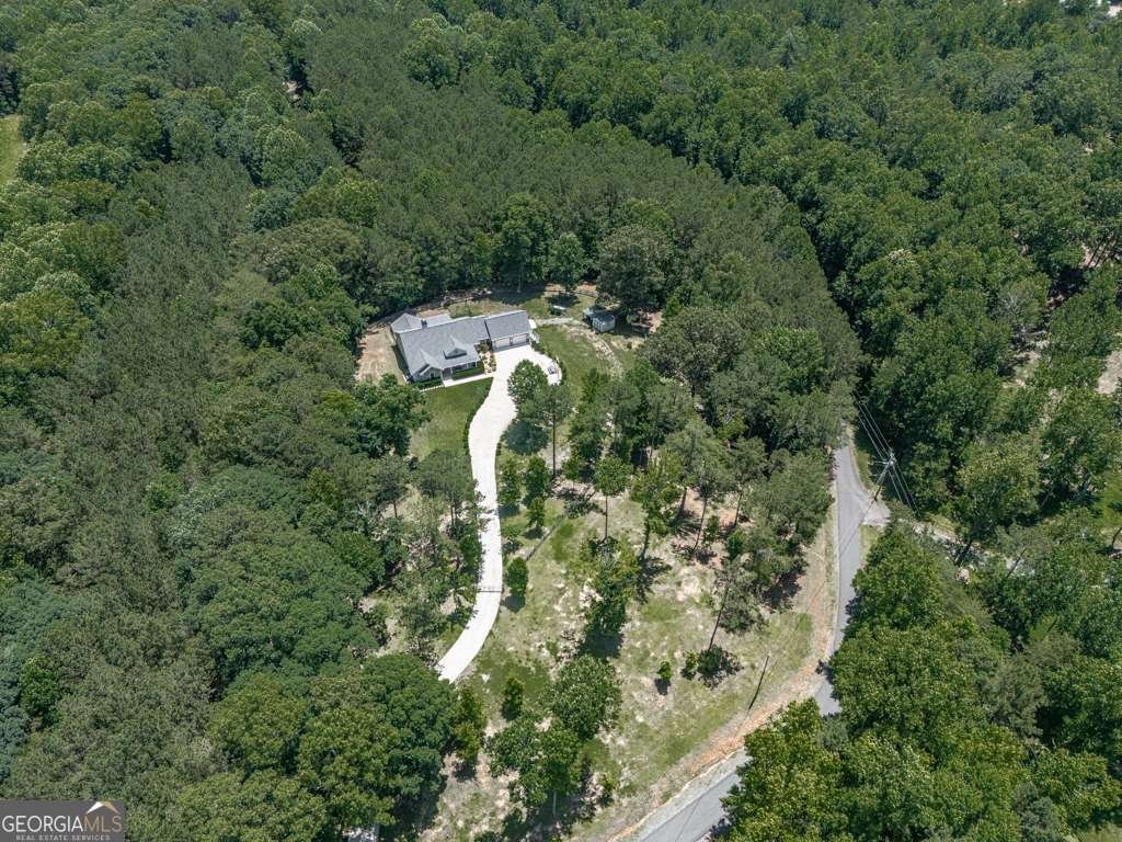 430 430 Cajun Drive Ellijay - 62