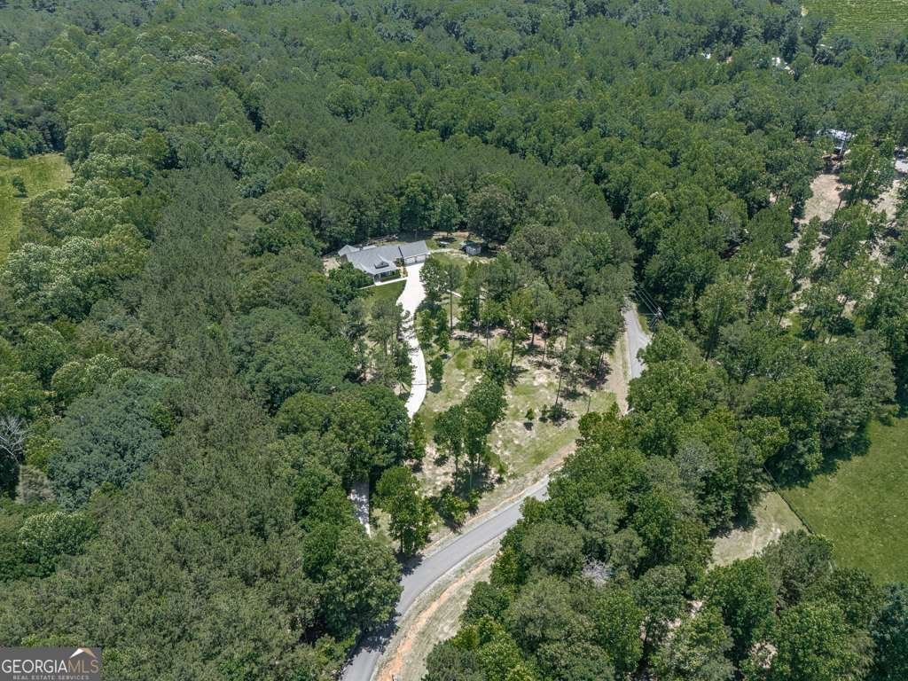 430 430 Cajun Drive Ellijay - 63