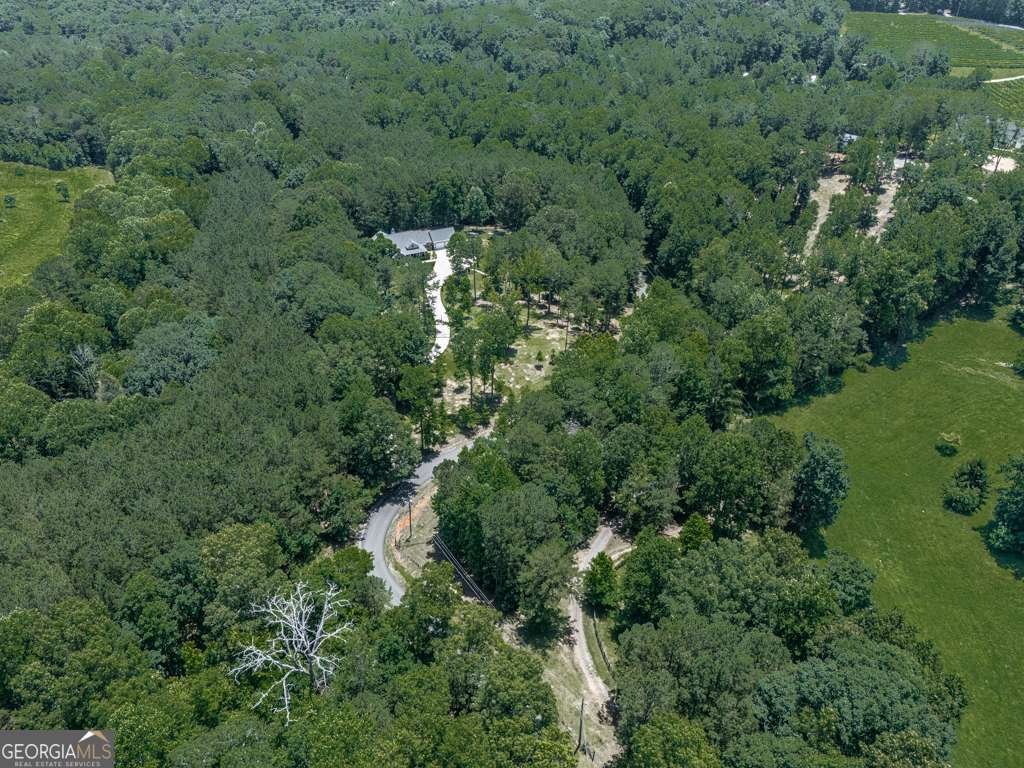 430 430 Cajun Drive Ellijay - 64