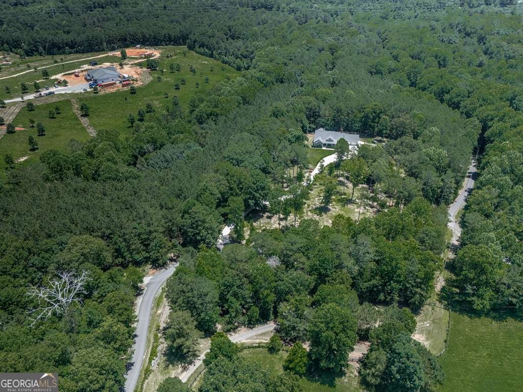430 430 Cajun Drive Ellijay - 65