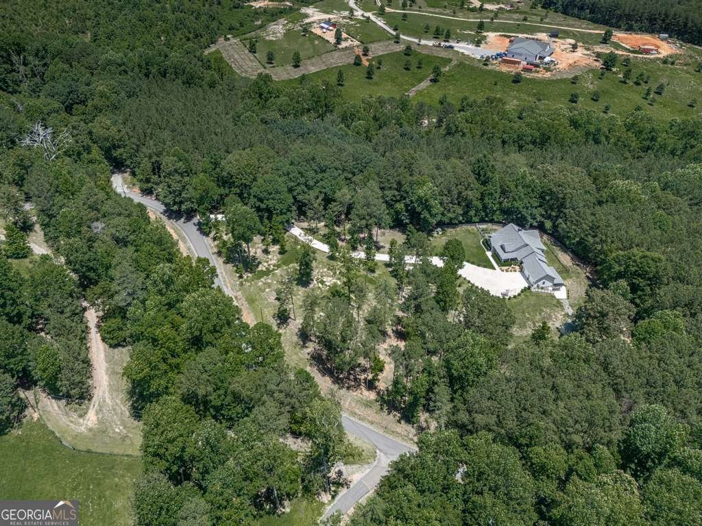 430 430 Cajun Drive Ellijay - 66